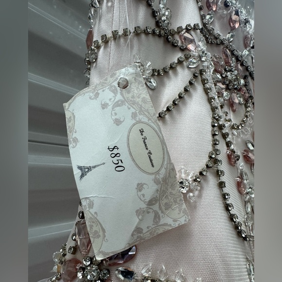 Blush Pink Ball Gown Quinceañera Prom Dress Rhinestone Corset Ruffle Tulle L/XL - Picture 11 of 14